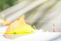 拉开球路 拉开球路