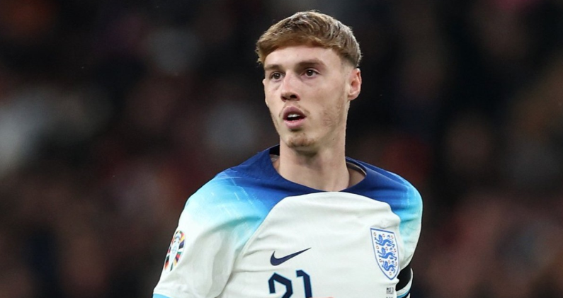 为他的职业 为他的职业