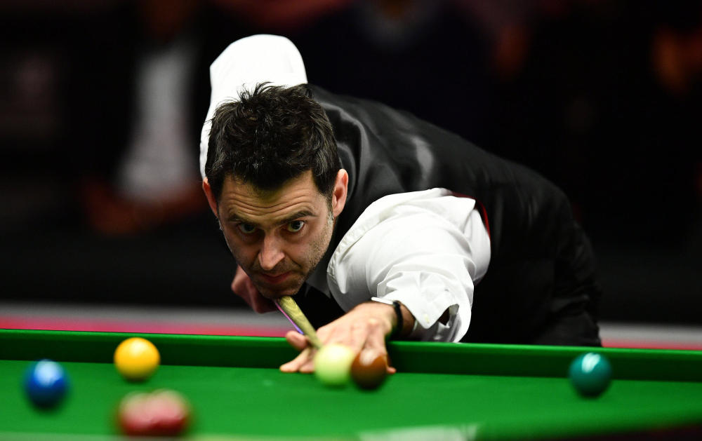 都是球迷们 都是球迷们